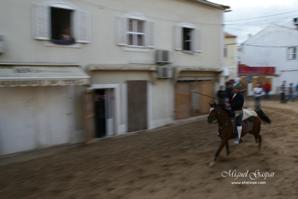 Azambuja - Feira de Maio - O Campino Azambuja - Feira de Maio - O Campino