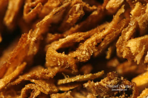 Micro - Macro - Cigarro Micro - Macro - Cigarro