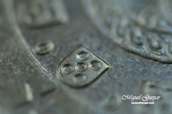 Macro - Quinas da moeda 20 Cêntimos