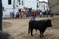 Fotografia - Disparo em Sequência - 2