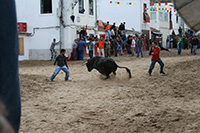 Fotografia - Disparo em Sequência - 5