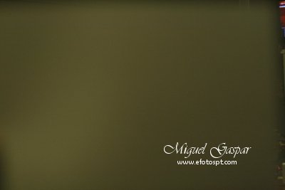 RTP - Presidenciais - papel para balanço brancos