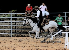 Gimp - Cavalhadas - Final